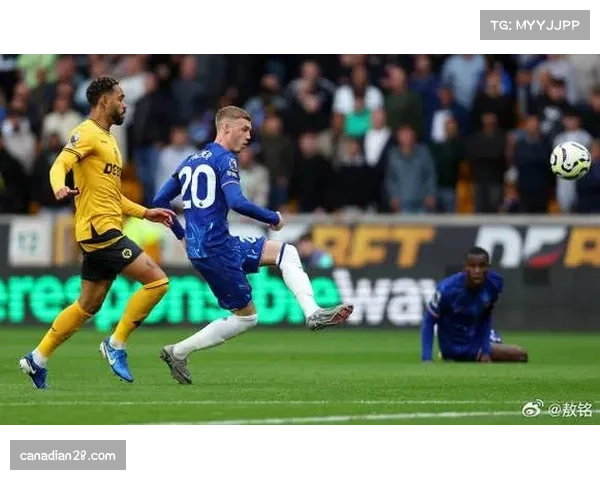 切尔西对阵狼队，中场控制力占优形成围攻