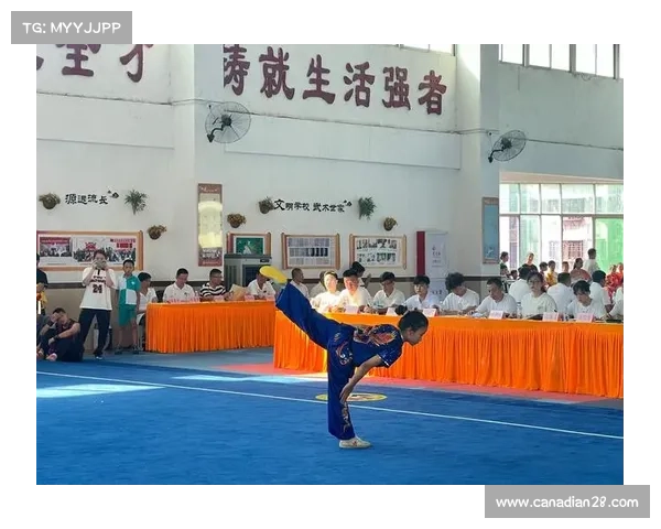 武术锦标赛养生功法项目受关注 24节气健身成创新亮点