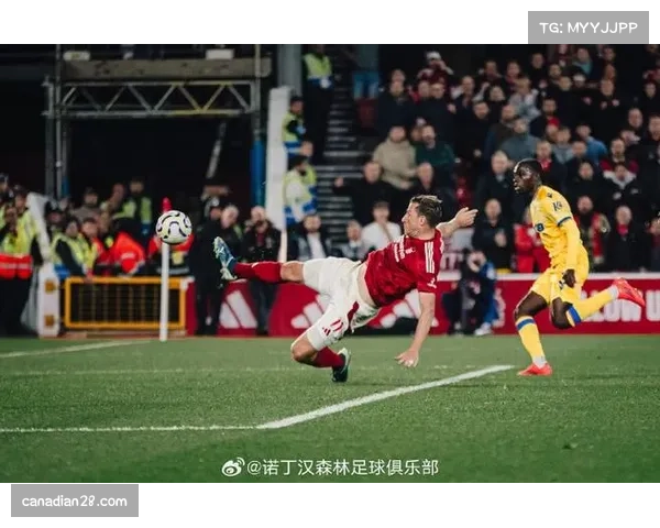 诺丁汉森林1-1水晶宫,主队保级路上再添一分 诺丁汉森林1-1水晶宫,主队保级路上再添一分